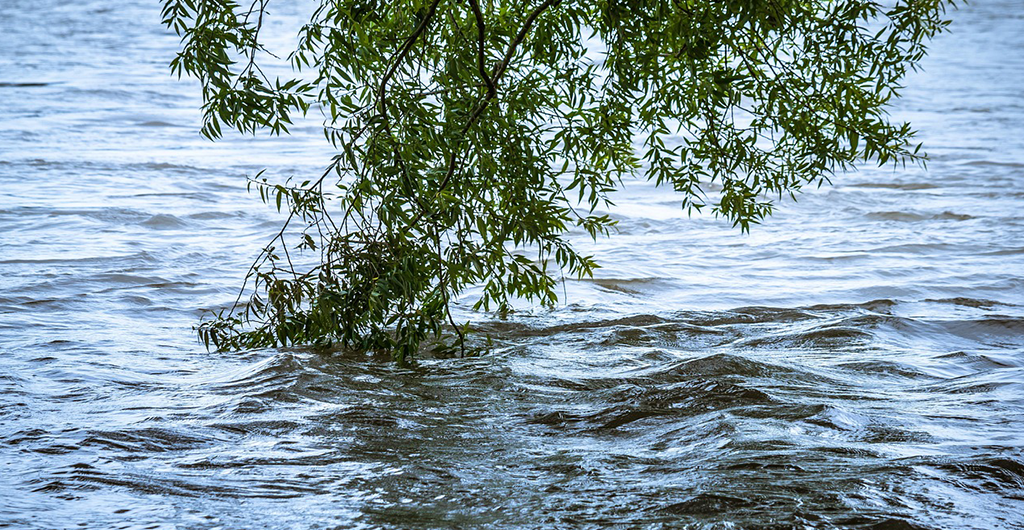 Nq Floods